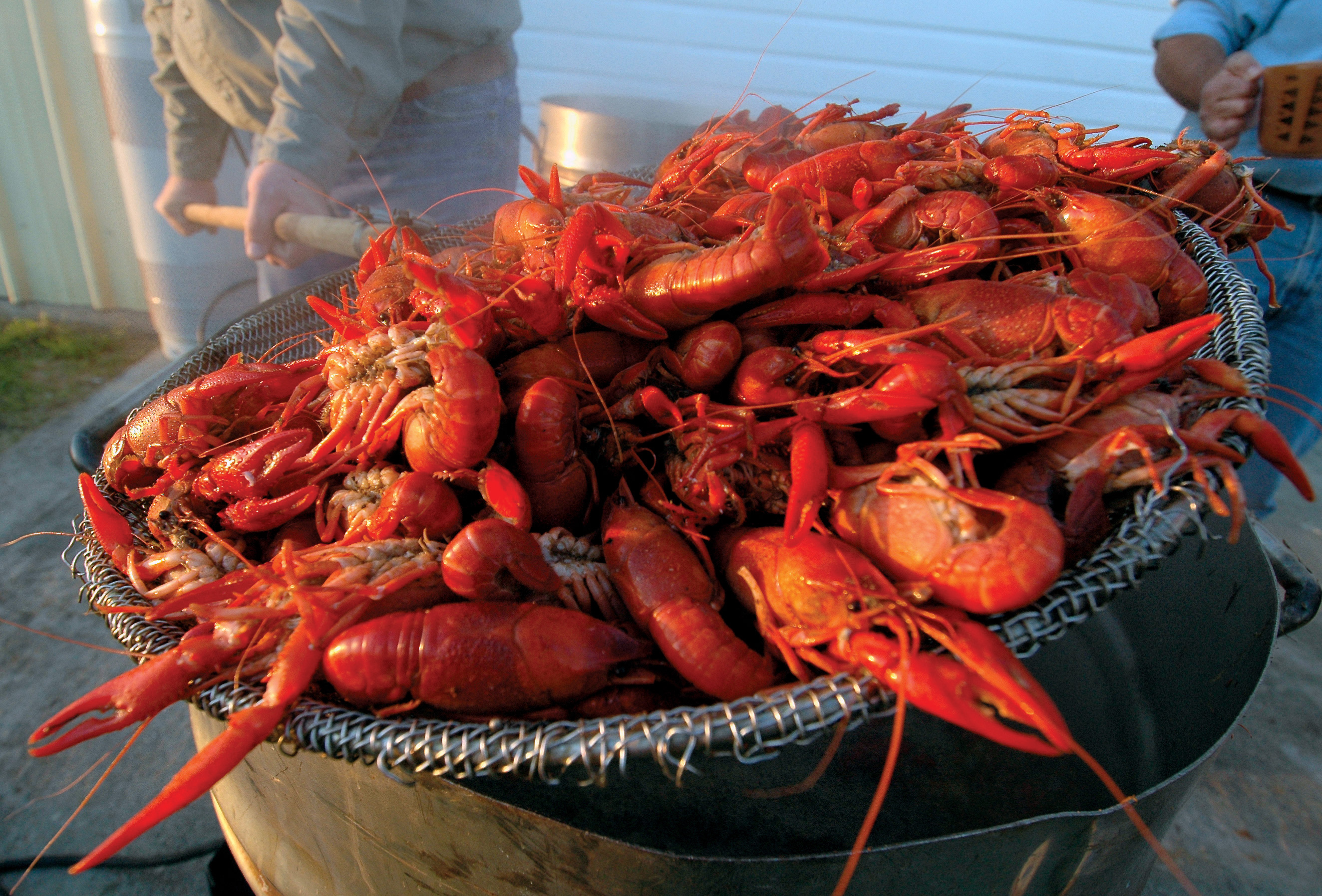 cooked crawfishjpg.jpg thumbnail